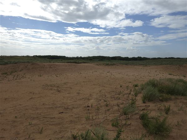 America's Oasis (7/7/2025)