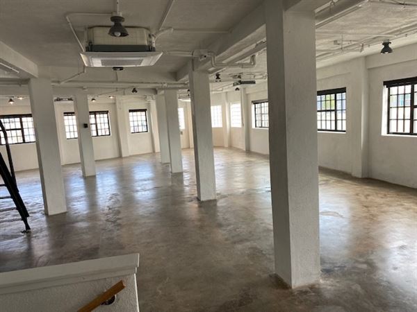 ConsumerAffairs Corporate Office (4/16/2026 - Credits: Leslie Araskog)