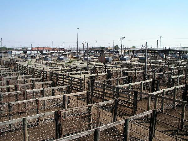Oklahoma City Stockyards (2/9/2009)