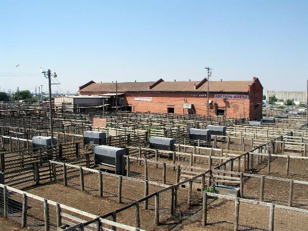 Oklahoma City Stockyards (2/9/2009)