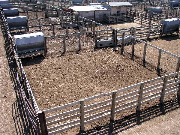 Oklahoma City Stockyards (2/9/2009)