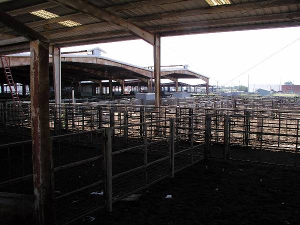 Oklahoma City Stockyards (2/9/2009)