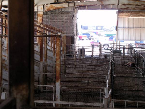 Oklahoma City Stockyards (2/9/2009)