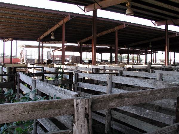 Oklahoma City Stockyards (2/9/2009)