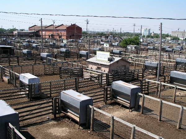 Oklahoma City Stockyards (2/9/2009)