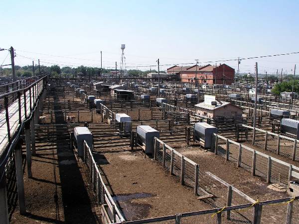 Oklahoma City Stockyards (2/9/2009)