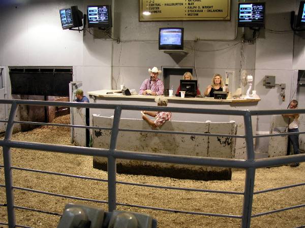 Oklahoma City Stockyards (2/9/2009)