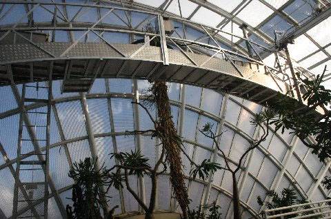 Myriad Botanical Gardens (2/11/2009)