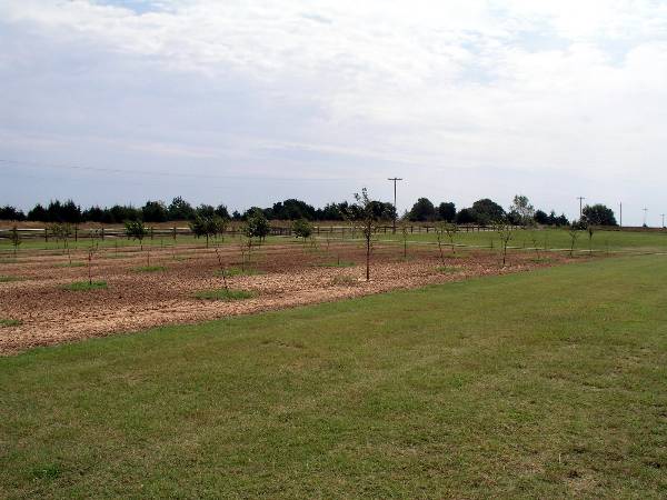 Tatanka Ranch (2/11/2009)