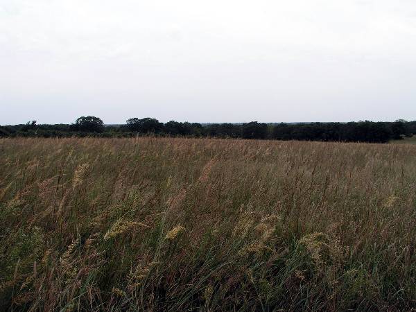 Tatanka Ranch (2/11/2009)
