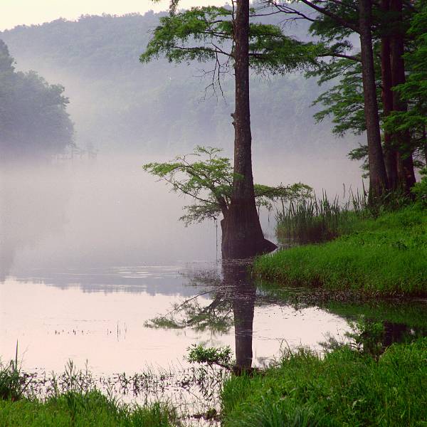 Beavers Bend & Hochatown State Park Lodge (4/9/2009)