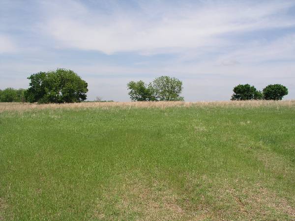 Sugarloaf Ranch (6/24/2009)