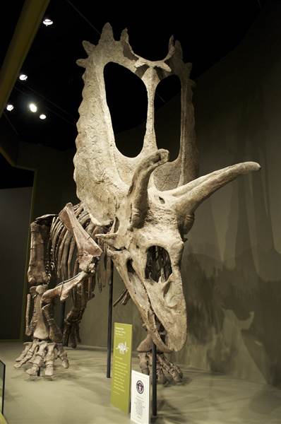 Sam Noble Oklahoma Museum of Natural History (4/9/2014 - Credits: Oklahoma Tourism - TravelOK)