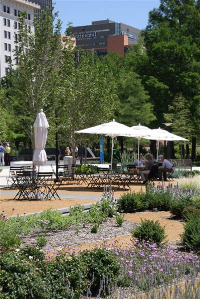 Myriad Botanical Gardens (7/7/2014)