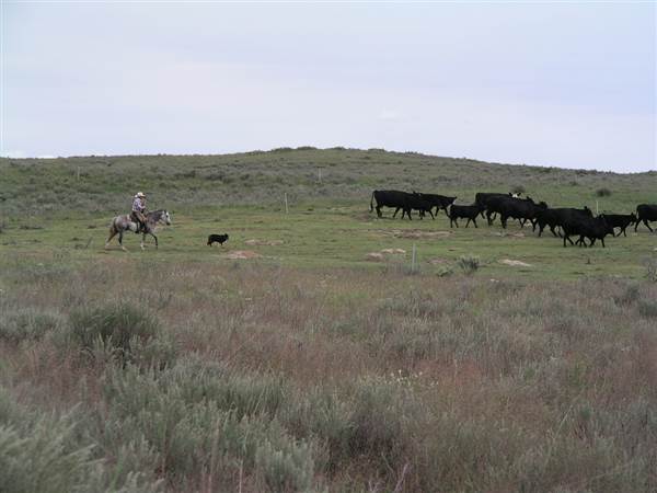 Maple YL Ranch - Oklahoma Tourism - TravelOK (7/18/2014 - Credits: Oklahoma Tourism - TravelOK)