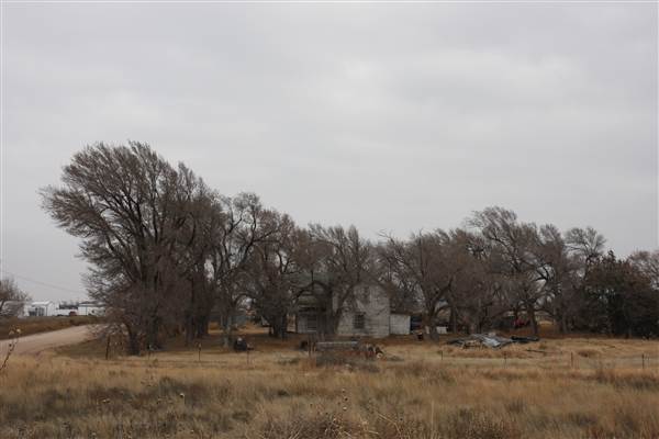 Stout House (12/18/2014 - Credits: Yousef Kazemi)
