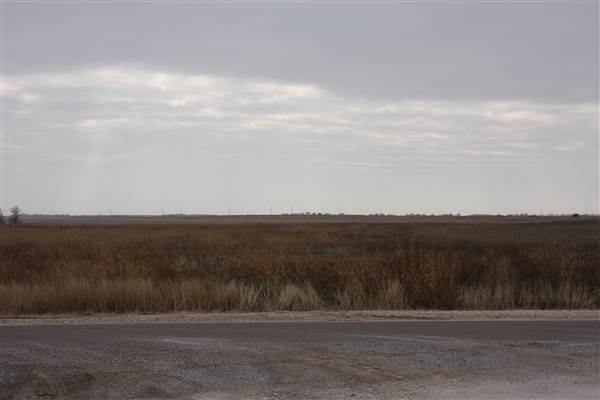 Nightmare in the Country - Kenton Ranch (12/10/2014 - Credits: Yousef Kazemi)