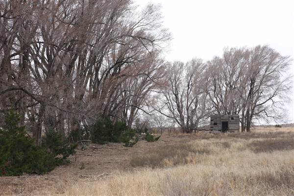 Nightmare in the Country - Kenton Ranch (12/10/2014 - Credits: Yousef Kazemi)