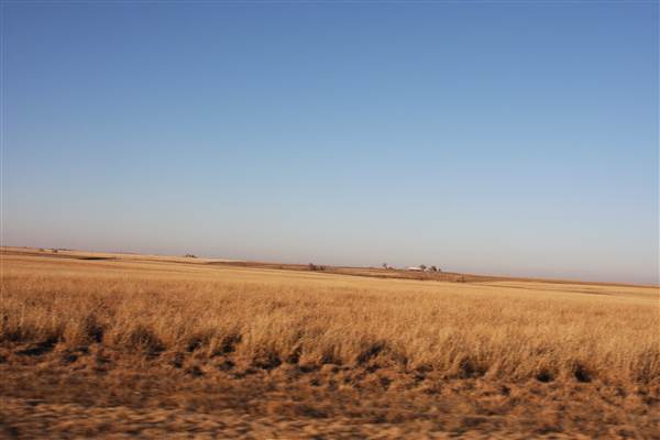 McBee Ranch (12/11/2014 - Credits: Yousef Kazemi)