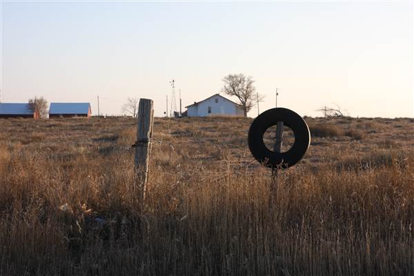 McBee Ranch (12/11/2014 - Credits: Yousef Kazemi)
