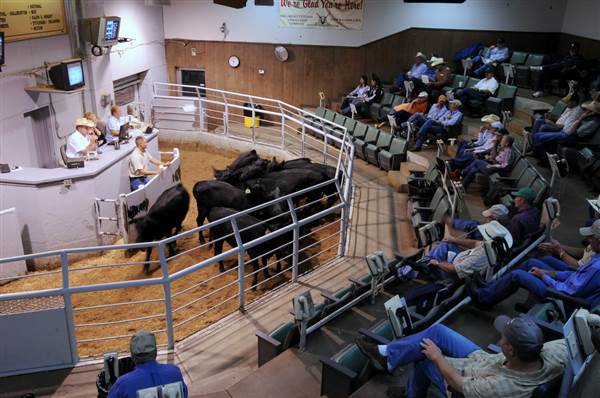 Oklahoma City Stockyards (7/18/2014 - Credits: Oklahoma Tourism - TravelOK)