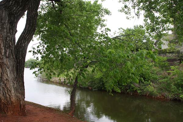 Twin Lakes Neighborhood (4/24/2015 - Credits: Yousef Kazemi)