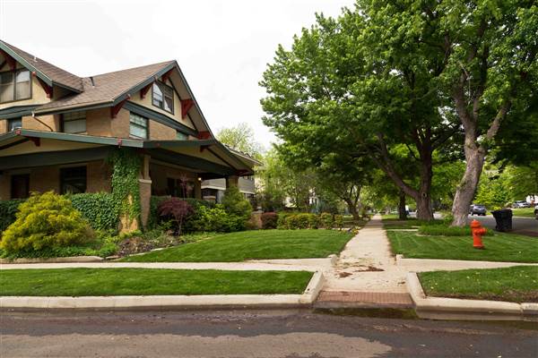 Mesta Park Historical Neighborhood (4/30/2015 - Credits: Layne Inselman)