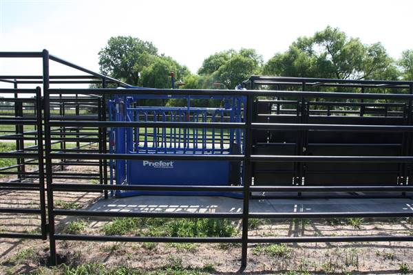 NFL Farms (7/2/2015 - Credits: Yousef Kazemi)