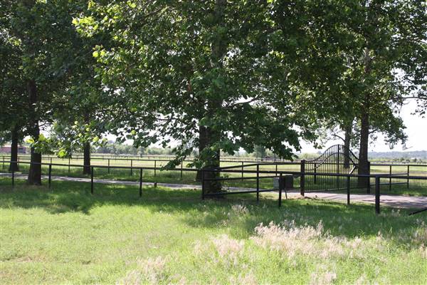 NFL Farms (7/2/2015 - Credits: Yousef Kazemi)
