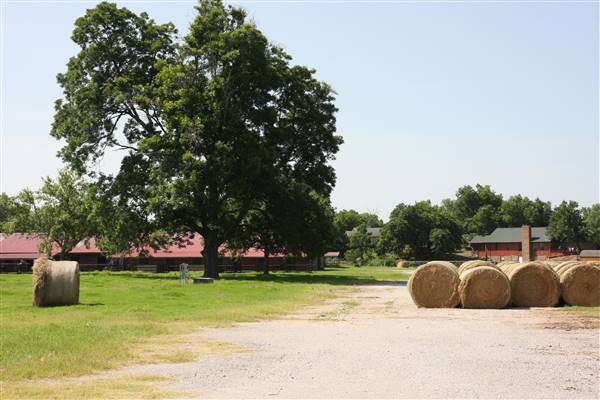 NFL Farms - Another huge area of stables located west of the offices/houses/main pens across the old polo field, but I wasn't able to photograph as there were unsecured watch dogs. Can photograph at a later date (7/2/2015 - Credits: Yousef Kazemi)
