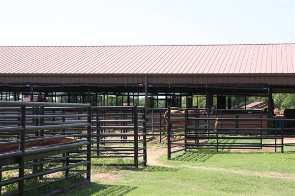 NFL Farms (7/2/2015 - Credits: Yousef Kazemi)