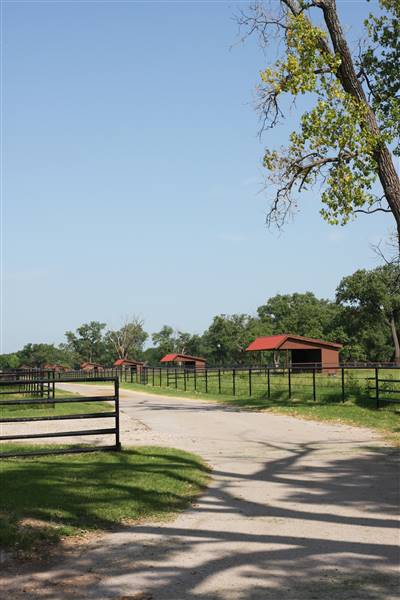 NFL Farms (7/2/2015 - Credits: Yousef Kazemi)