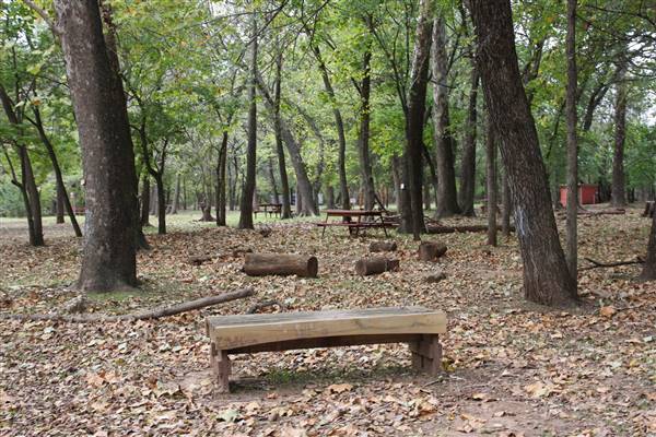 Camp DaKaNi (10/20/2017 - Credits: Christa Whetstone (intern))