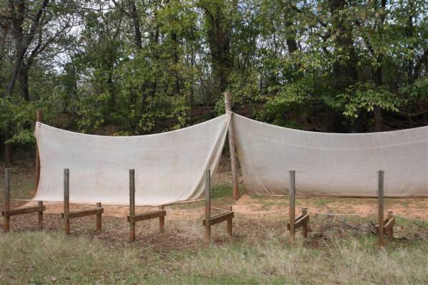 Camp DaKaNi (10/20/2017 - Credits: Christa Whetstone (intern))