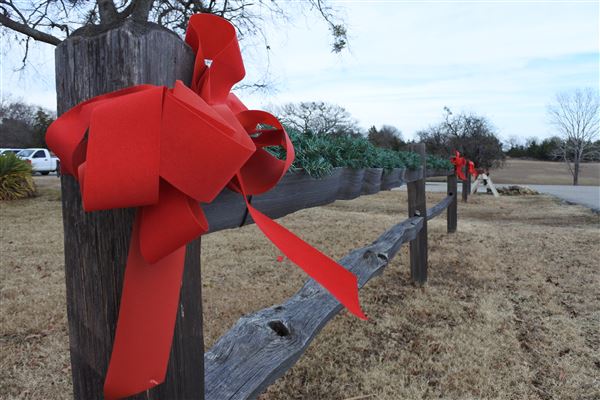 Fort Washita (12/23/2017 - Credits: Tyler Slawson)