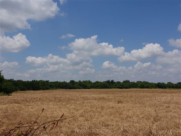 Stinchcomb Wildlife Refuge (7/31/2018 - Credits: Noah Janoe)