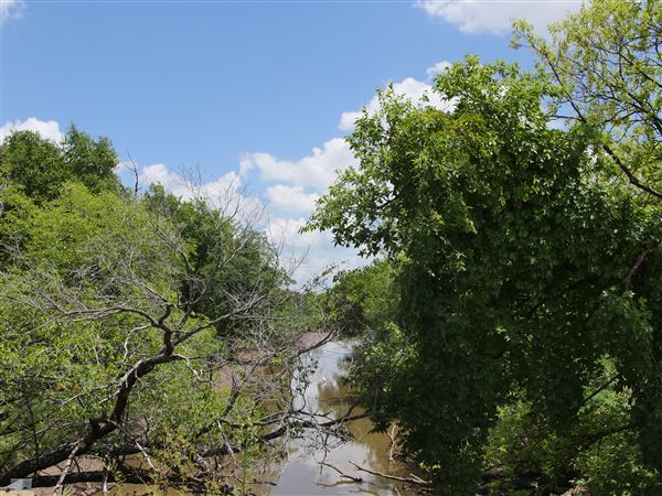 Stinchcomb Wildlife Refuge (7/31/2018 - Credits: Noah Janoe)