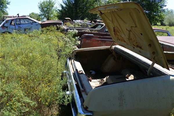 R & D Salvage (9/27/2019 - Credits: Tyler Slawson)