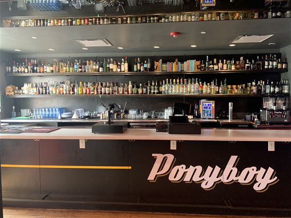 Ponyboy (9/18/2020 - Credits: Yousef Kazemi)