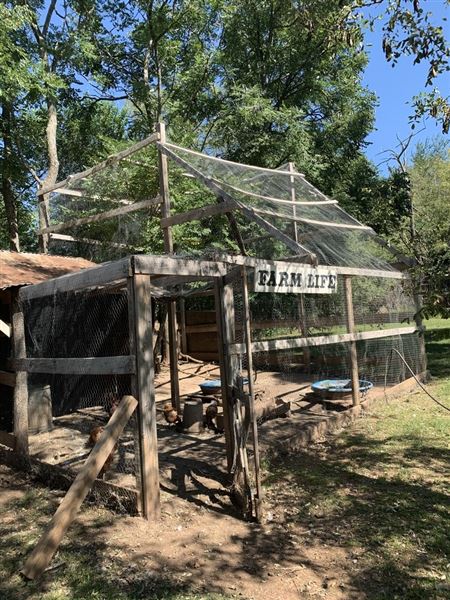 Blose Barn and Garden (9/28/2020 - Credits: Yousef Kazemi)