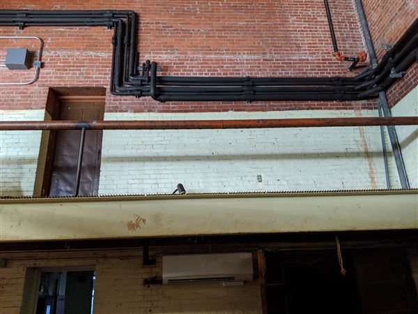 Shawnee Municipal Auditorium (2/29/2020 - Credits: Stacy Cramer Moore / Shawnee Tourism)