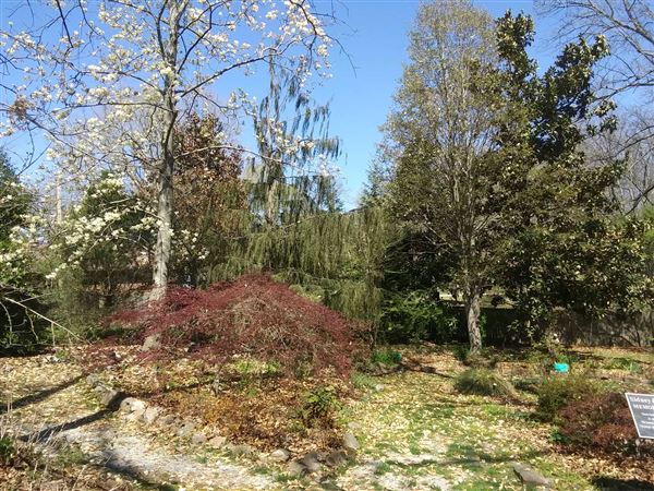 Lendonwood Gardens (3/29/2021 - Credits: Donnie Crain)