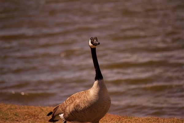 Lake El Reno (4/22/2021)