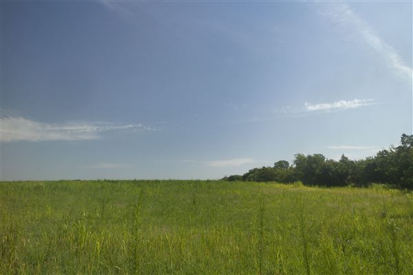 Rydell Ranch - field 1 - deciduous forest land and gentle rolling sandy farm land near a river bed (7/28/2021 - Credits: Jeffrey Rydell)