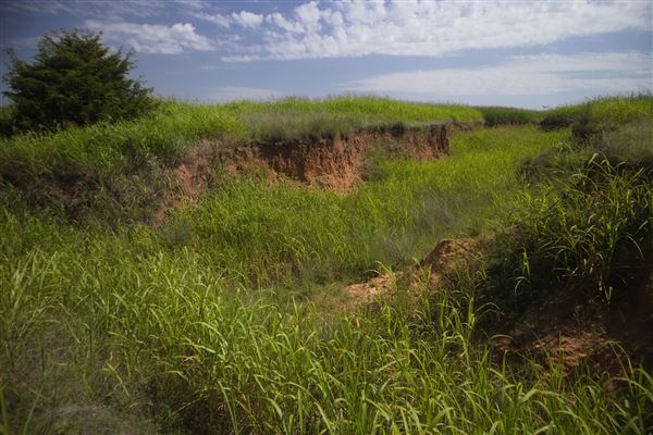 Rydell Ranch - field 1 - deciduous forest land and gentle rolling sandy farm land near a river bed (7/28/2021 - Credits: Jeffrey Rydell)