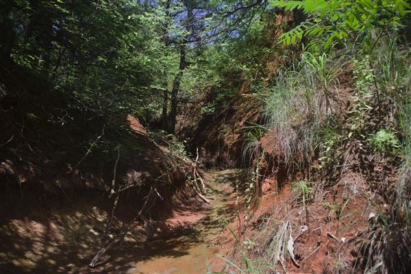 Rydell Ranch - field 2 - 2 mounds with 100' deep "red rock" canyons in between  visibility of up to 30 miles from the top of the mound Covered in mostly in eastern red cedar and some oak trees with native grasses. features slot canyons and waterfalls.  (7/28/2021 - Credits: Jeffrey Rydell)