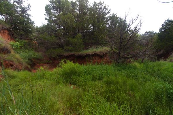 Rydell Ranch - field 2 - 2 mounds with 100' deep "red rock" canyons in between  visibility of up to 30 miles from the top of the mound Covered in mostly in eastern red cedar and some oak trees with native grasses. features slot canyons and waterfalls.  (7/28/2021 - Credits: Jeffrey Rydell)