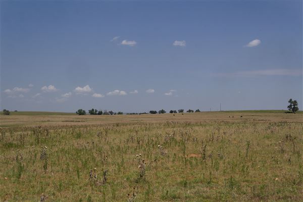 Rydell Ranch - field 3 - Clear cut rolling farmland with views of up to 30 miles few trees (7/28/2021 - Credits: Jeffrey Rydell)
