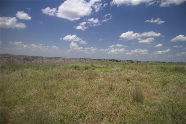 Rydell Ranch - field 6 Rolling farmland with deep canyons, large pond and  Covered in mostly in eastern red cedar and oak trees with native grasses. features slot canyons and waterfalls. (7/28/2021 - Credits: Jeffrey Rydell)