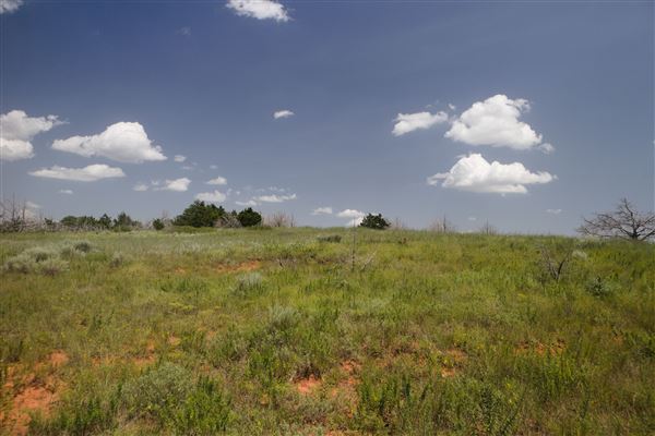 Rydell Ranch - field 6 Rolling farmland with deep canyons, large pond and  Covered in mostly in eastern red cedar and oak trees with native grasses. features slot canyons and waterfalls. (7/28/2021 - Credits: Jeffrey Rydell)
